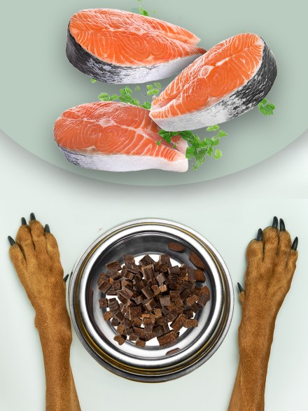 Ciğerli Somonlu Köpek Maması